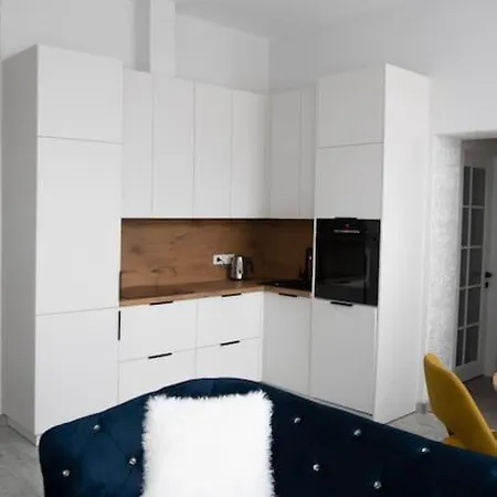 New&modern Apartment/central Location By Urban Rent Apartament Kłajpeda